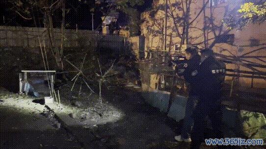 200斤野猪闯民宅被民警击毙