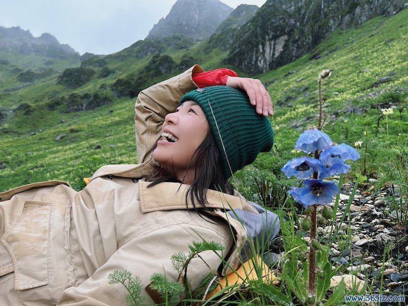 碧罗雪山海拔3800米隔邻的长叶绿绒蒿    苏娅供图