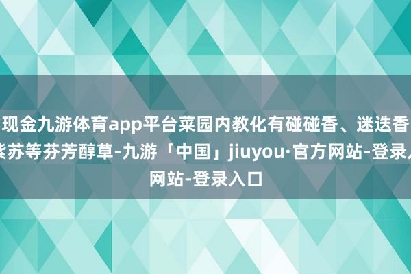 现金九游体育app平台菜园内教化有碰碰香、迷迭香、紫苏等芬芳醇草-九游「中国」jiuyou·官方网站-登录入口